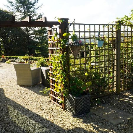 Ivy Lodge Letterkenny Zewnętrze zdjęcie