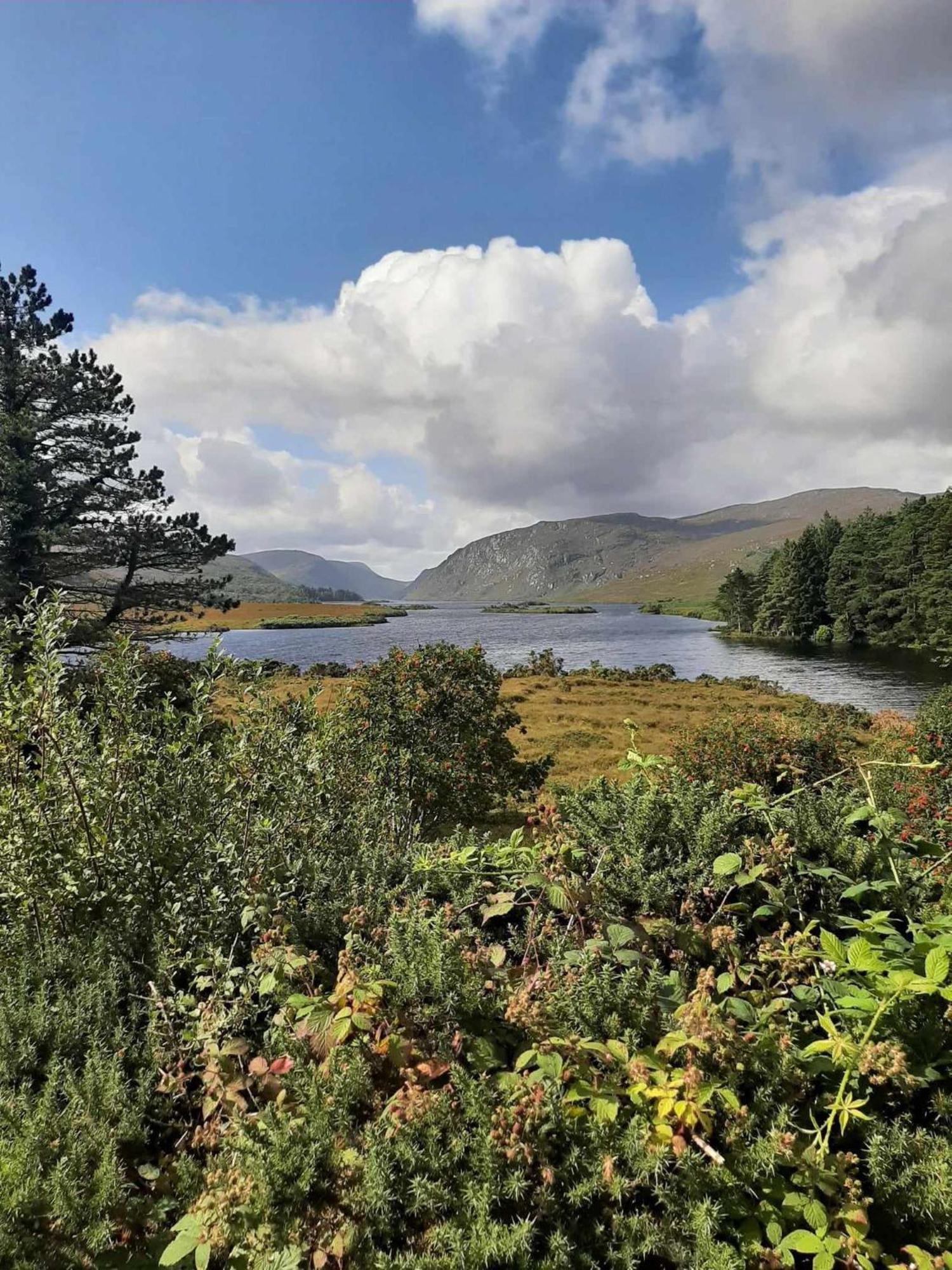 Ivy Lodge Letterkenny Zewnętrze zdjęcie