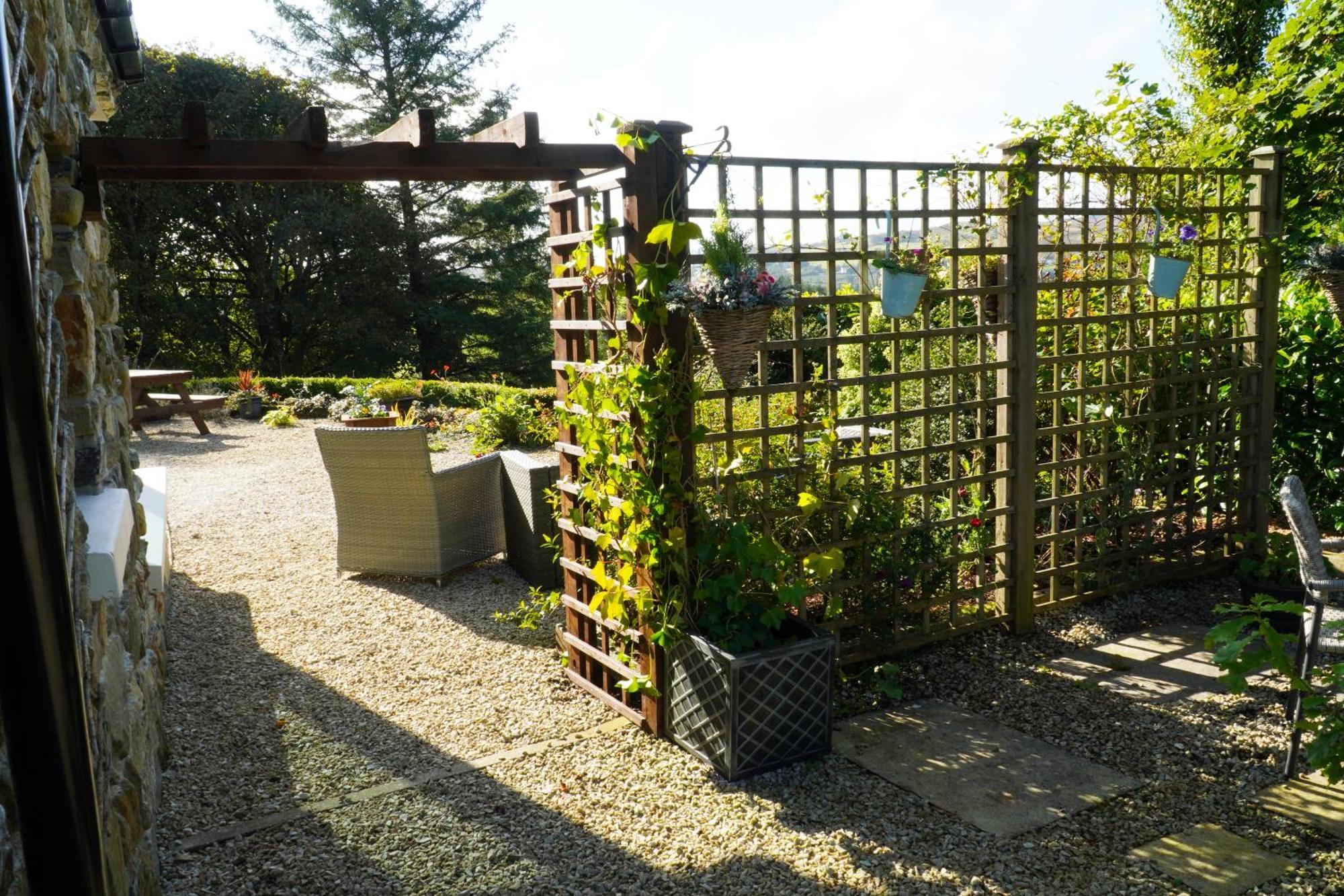 Ivy Lodge Letterkenny Zewnętrze zdjęcie