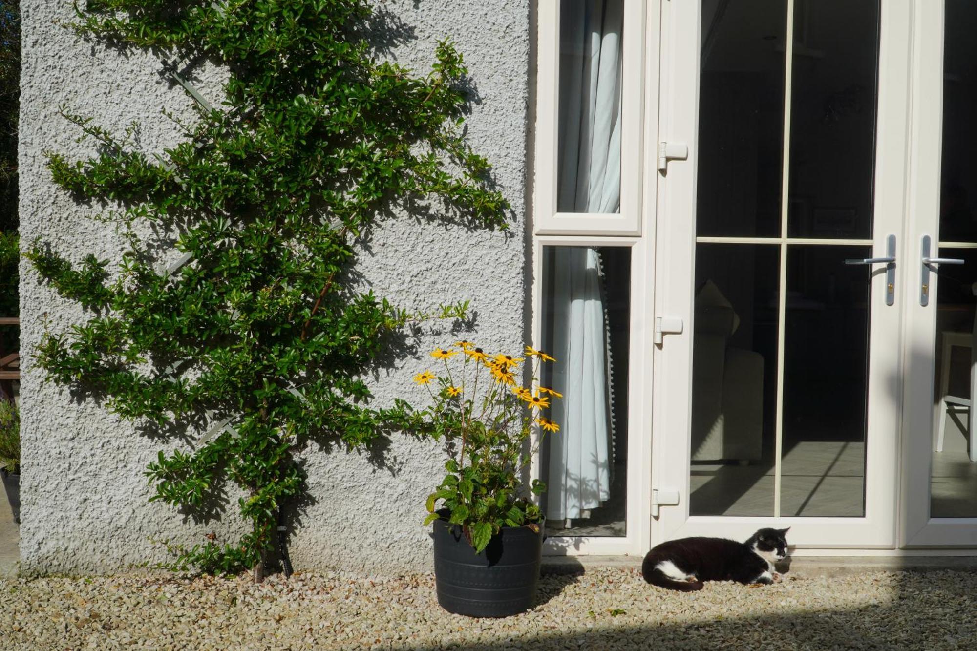 Ivy Lodge Letterkenny Zewnętrze zdjęcie